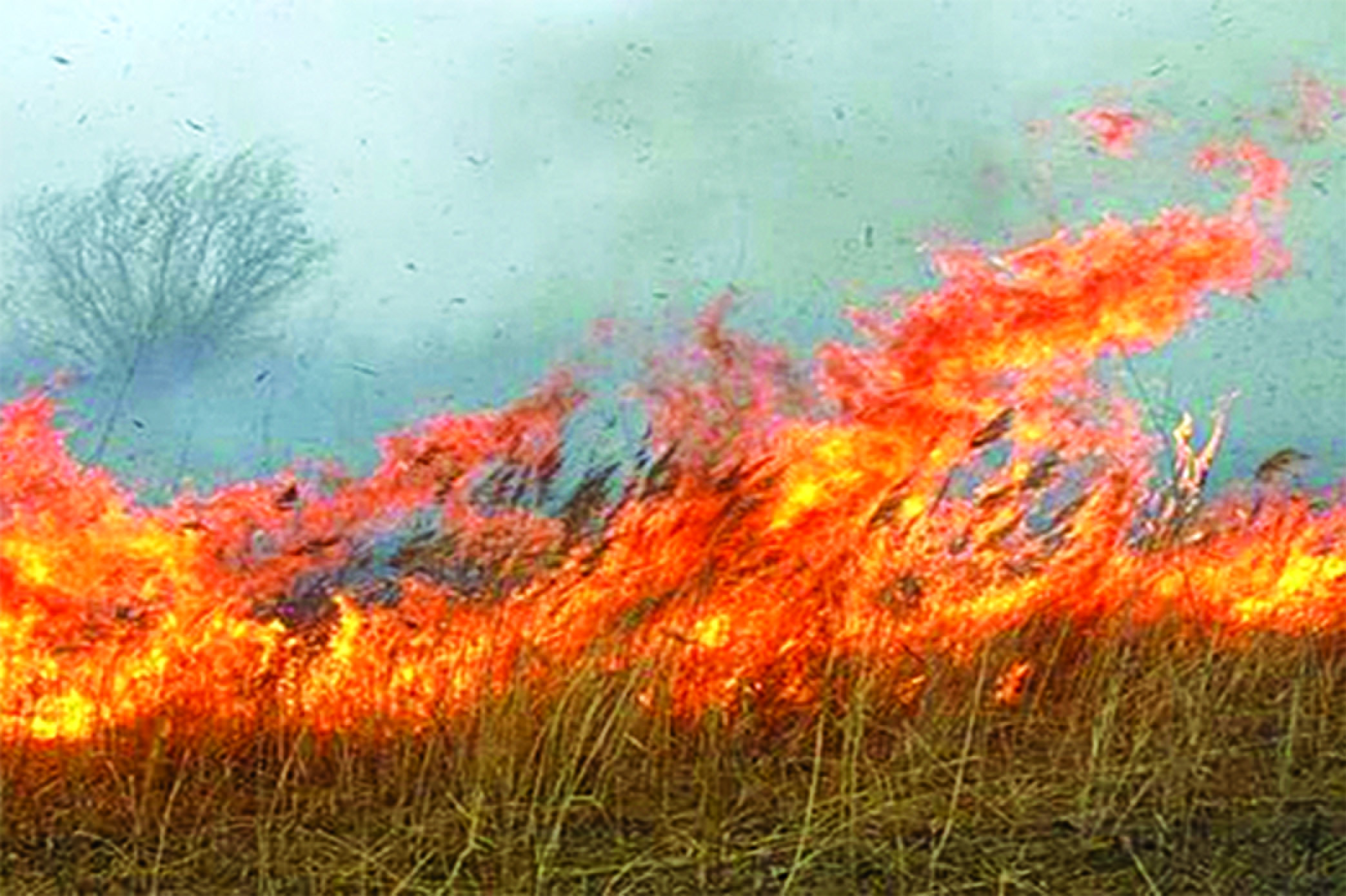 Пал огня. Пал травы. Пожар весной. Пожары от сухой травы. Горит сухая трава.